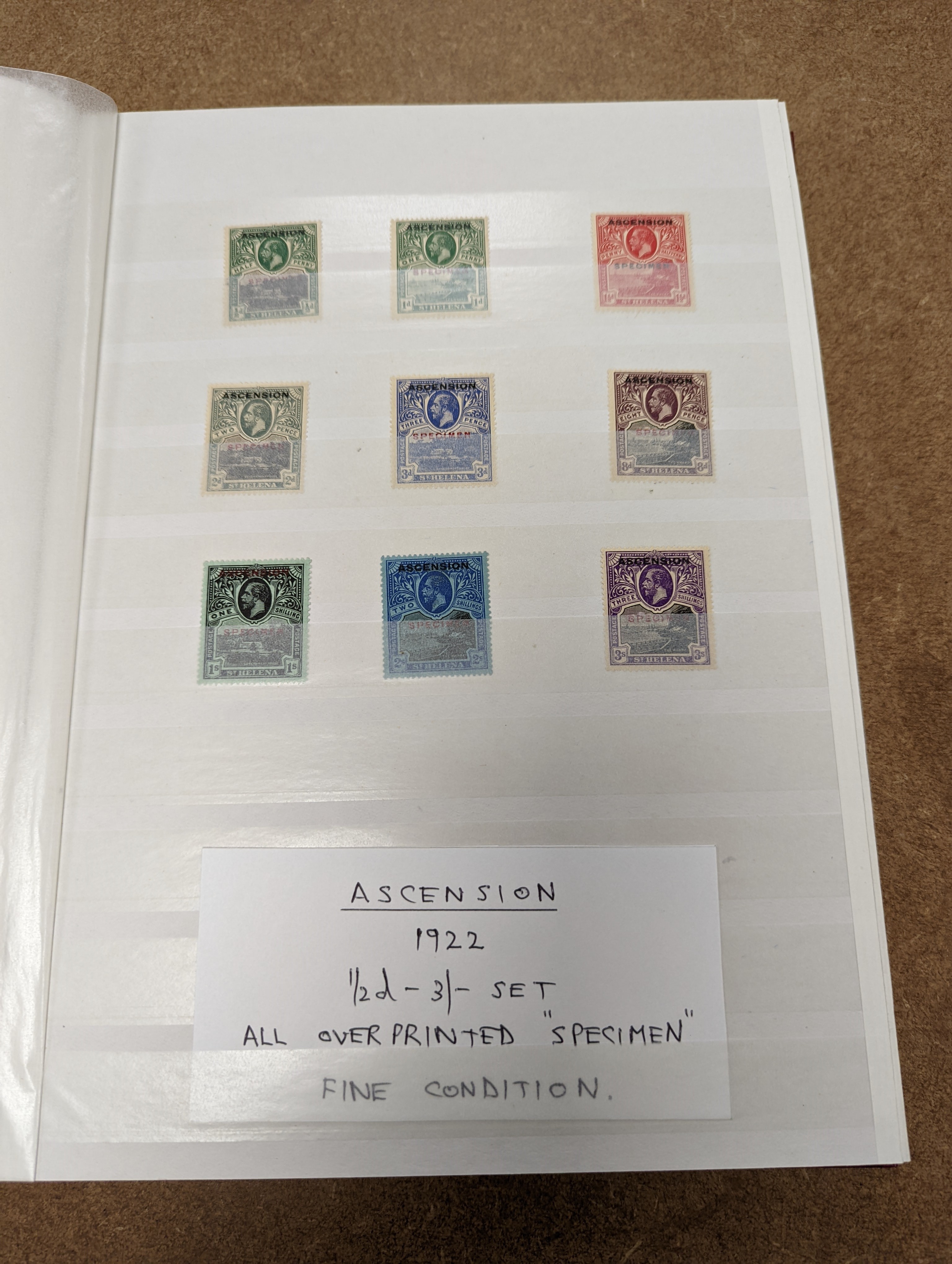British Commonwealth stamps in stock book with Ascension 1922 set overprinted specimen, 1924 set mint, Bahamas, Barbados Britannia Heads, Cyprus 1928 anniversary set- £1 mint, Falkland 1s. 1878 1d claret mint (and certif